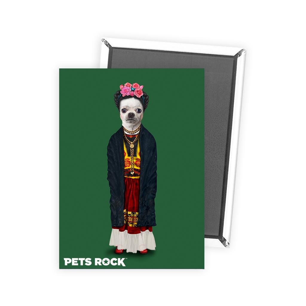 מגנט Mexico - Pets Rock