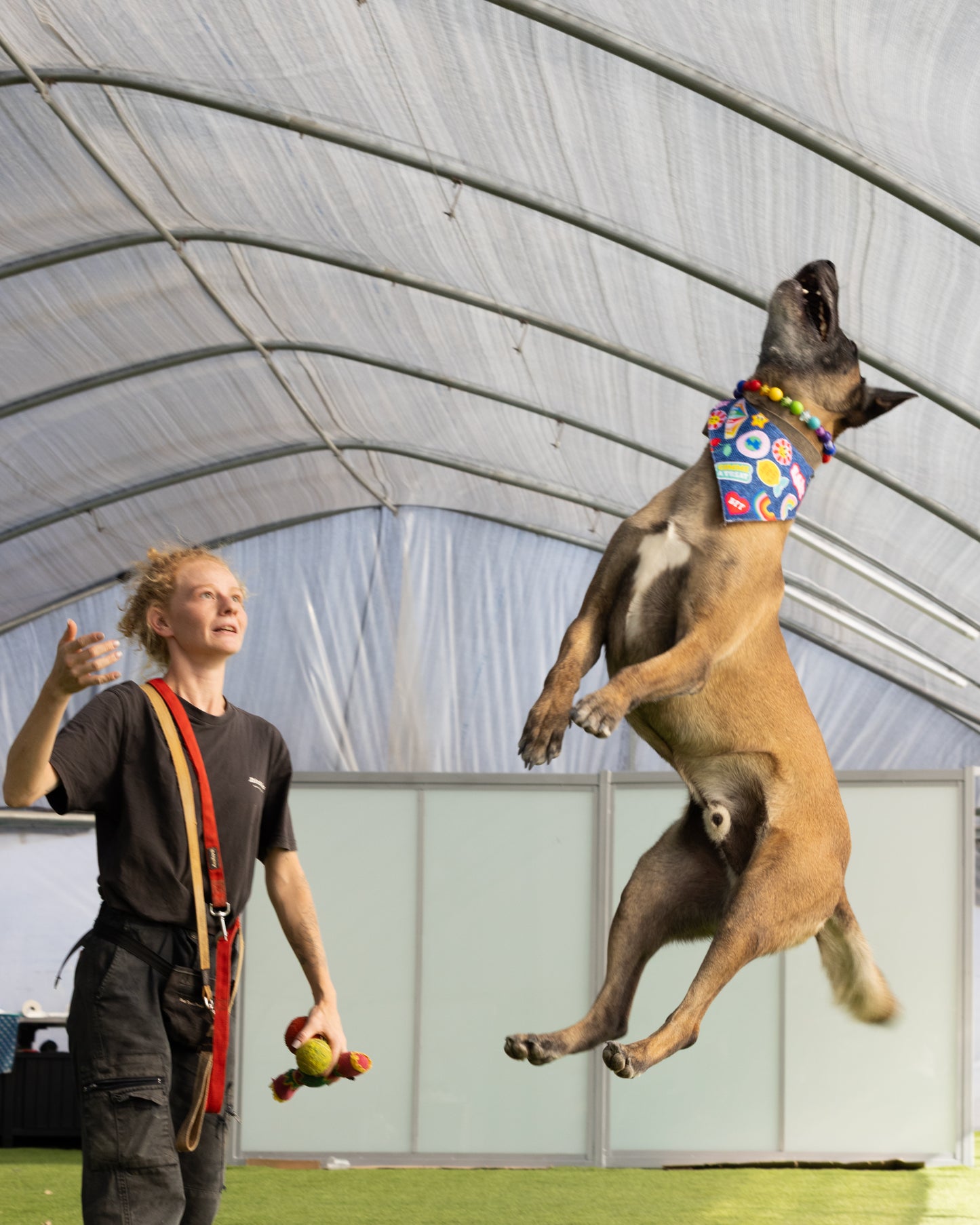 הסיפור של עומר