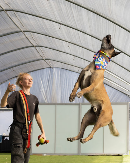 הסיפור של עומר