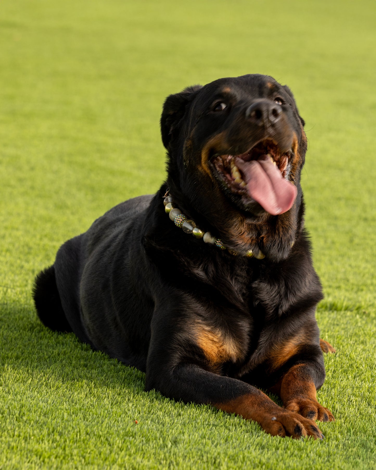 הסיפור של זויה