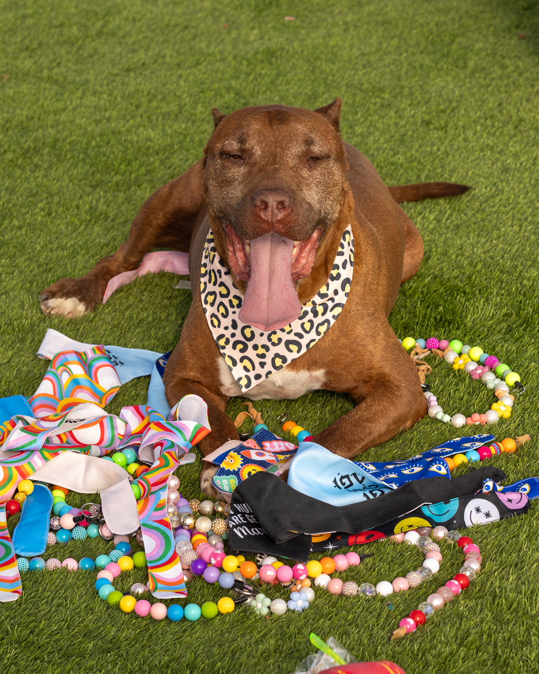 הסיפור של הרקולס