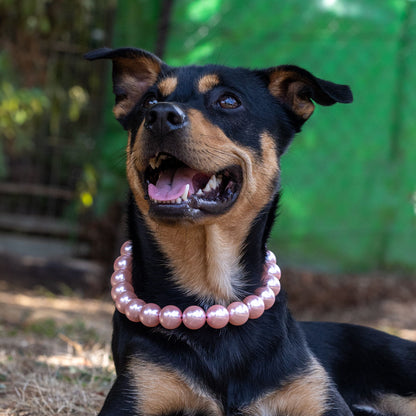 בסטיז בידז Pink Pearls