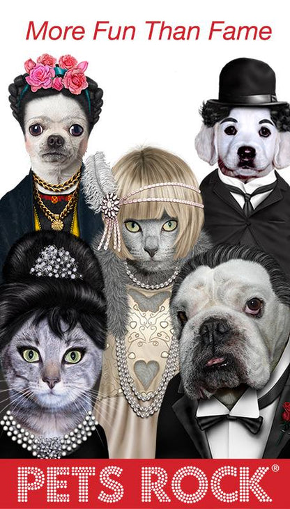 כרית Dog Father - Pets Rock
