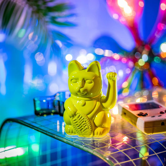 Lucky Cat לילות מיאמי
