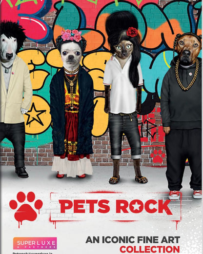 כרית Rap - Pets Rock