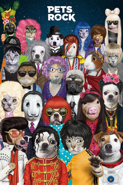 כרית Dog Boy - Pets Rock
