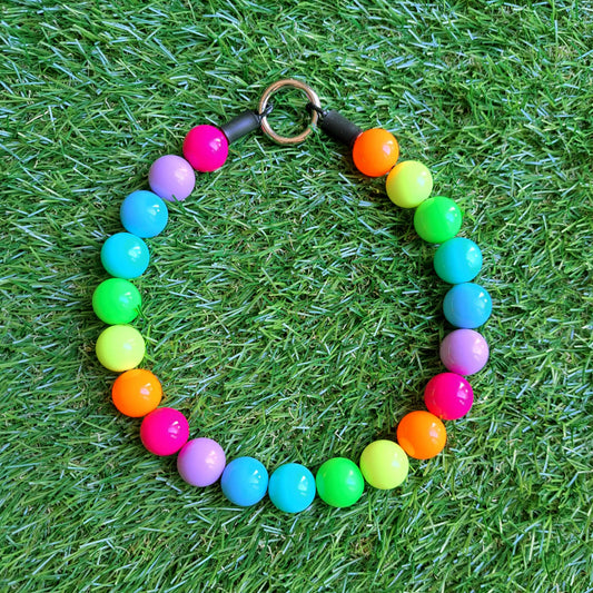 בסטיז בידז Neon Rainbow