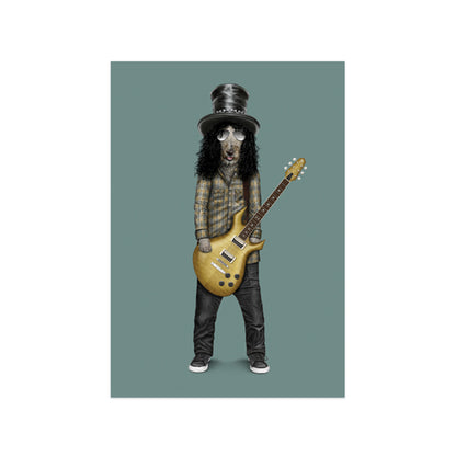 מארז גלויות Pets Rock - רוק וראפ