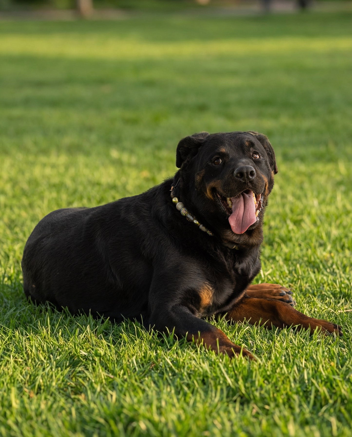 הסיפור של זויה