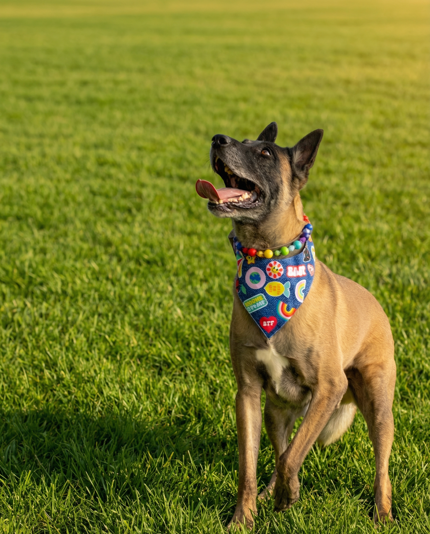 הסיפור של עומר