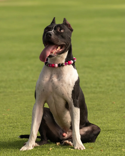 הסיפור של קארט