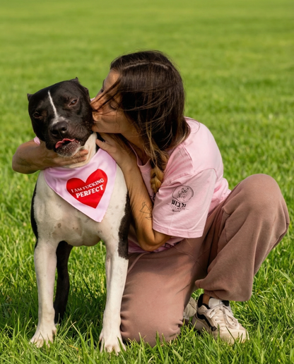 הסיפור של קארט