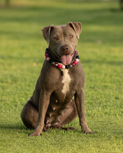 הסיפור של ליז