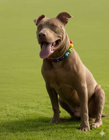 הסיפור של פבל