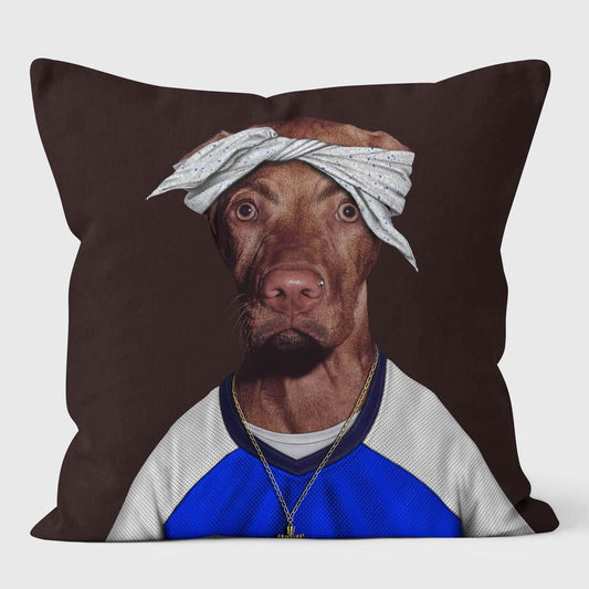 כרית Two Rap - Pets Rock