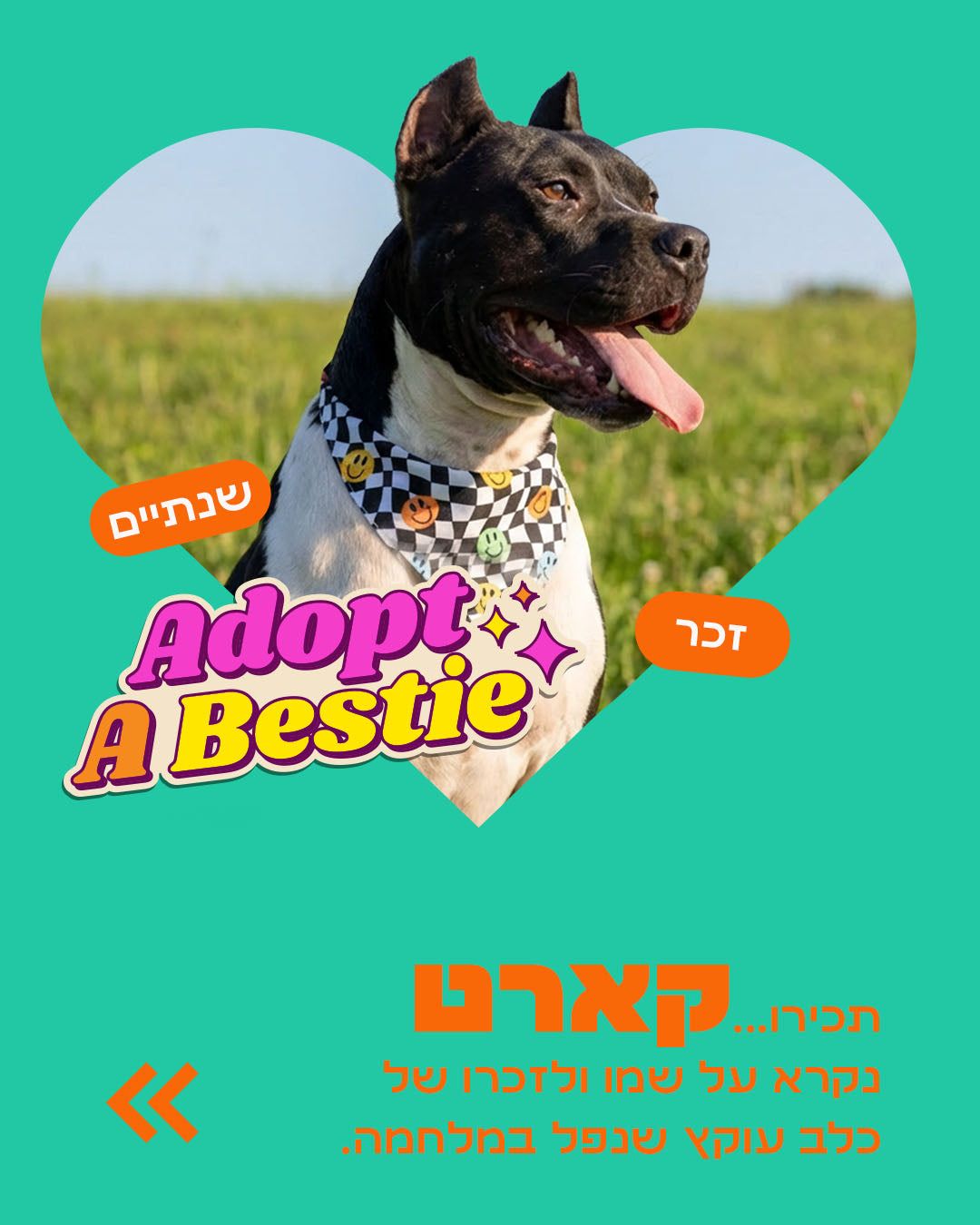 הסיפור של קארט