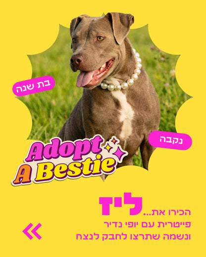 הסיפור של ליז