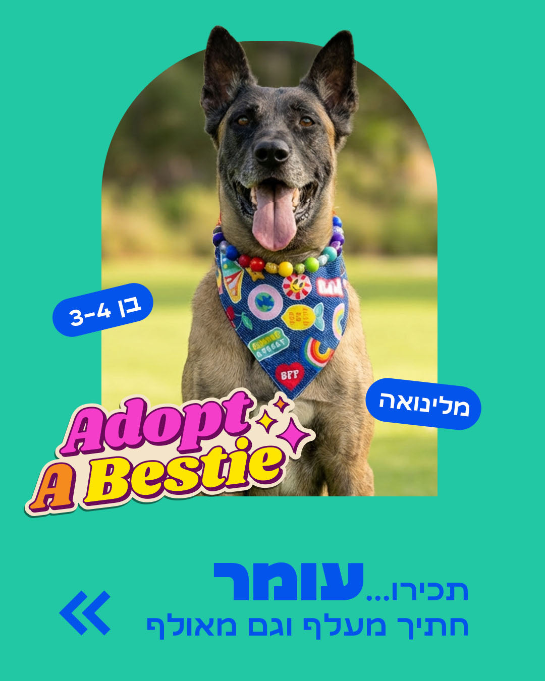 הסיפור של עומר