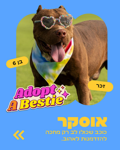 הסיפור של אוסקר