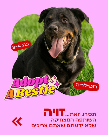 הסיפור של זויה