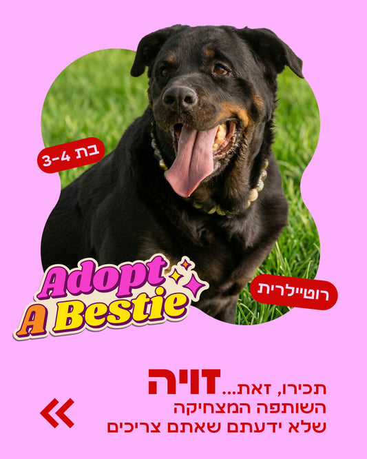 הסיפור של זויה