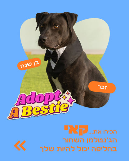 הסיפור של קאי