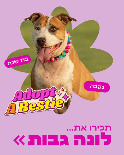 הסיפור של לונה