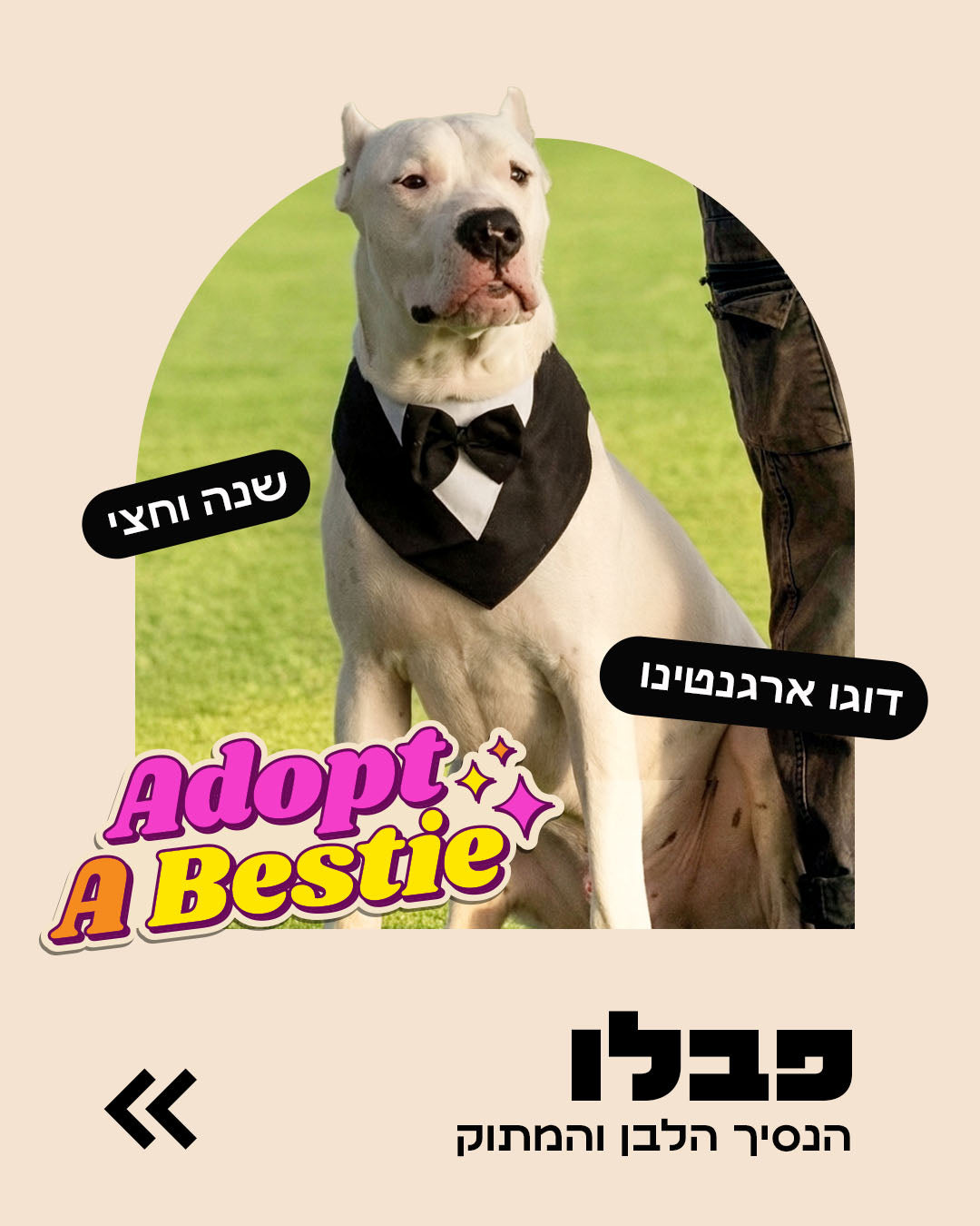 הסיפור של פאבלו
