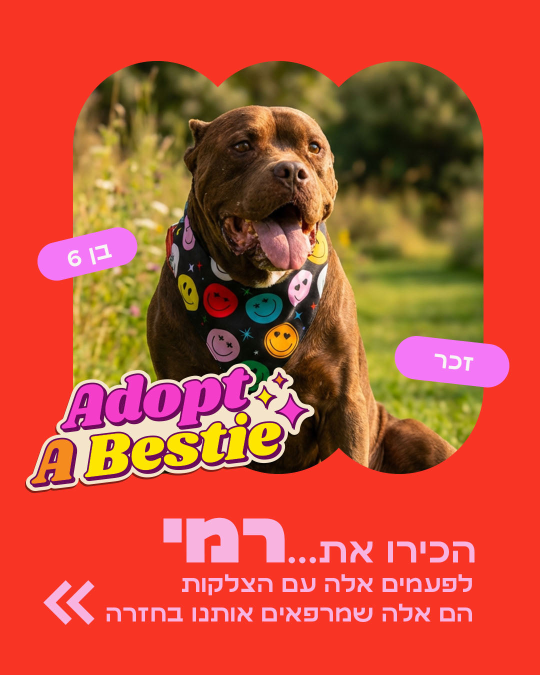 הסיפור של רמי