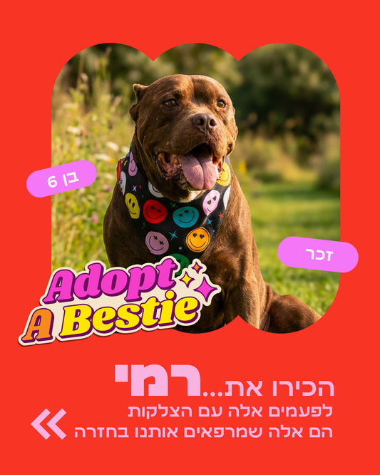הסיפור של רמי