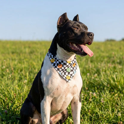 בנדנה Insert treat here