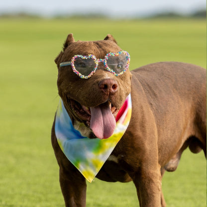 בנדנה Cute but psycho