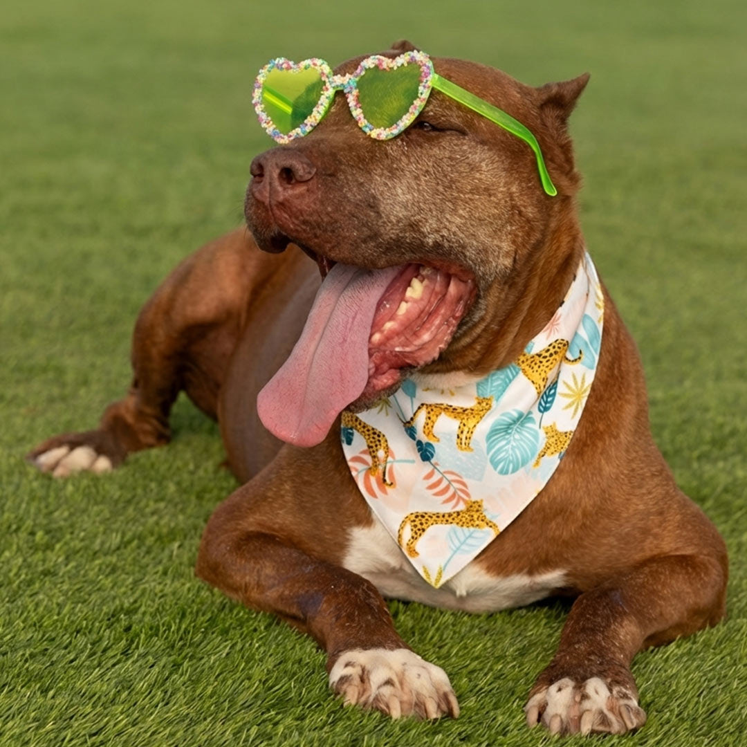 בנדנה Wild Jungle