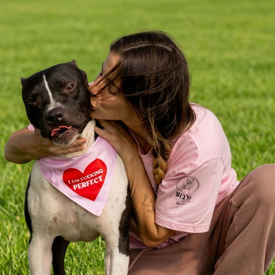 בנדנה I am fucking perfect