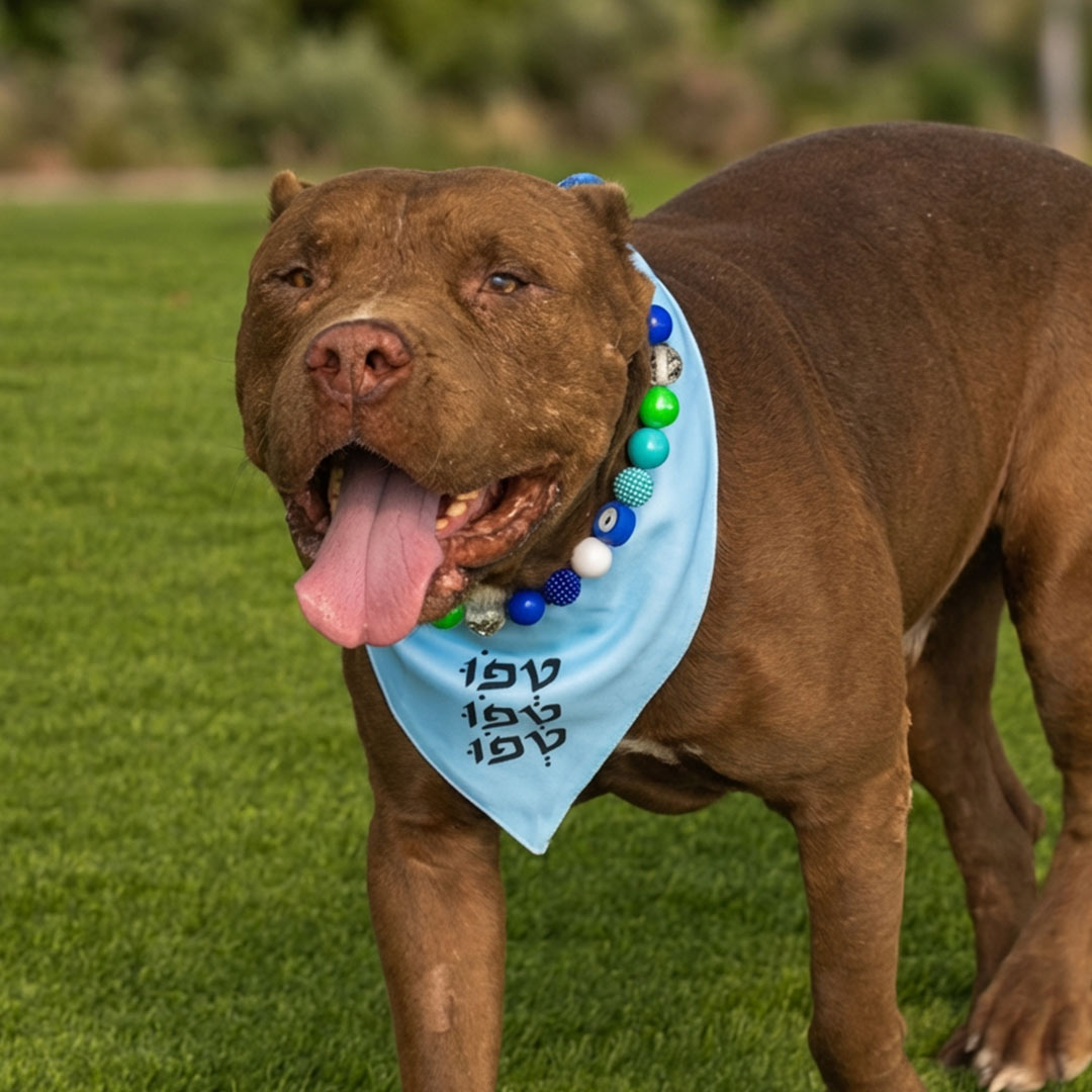בנדנה "טפו טפו טפו"