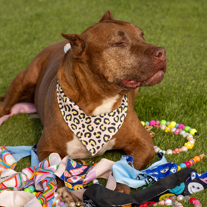 בנדנה Wild Jungle