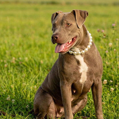 בסטיז בידז Classic Pearls