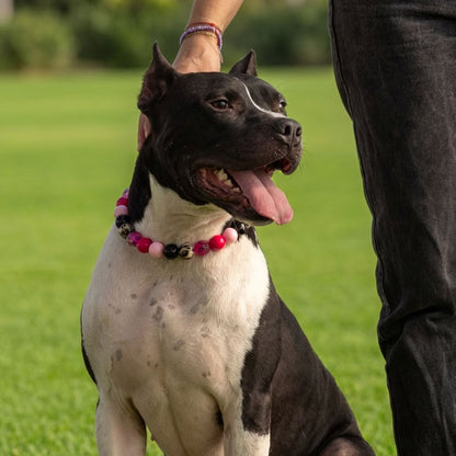 בסטיז בידז Pink Zebra