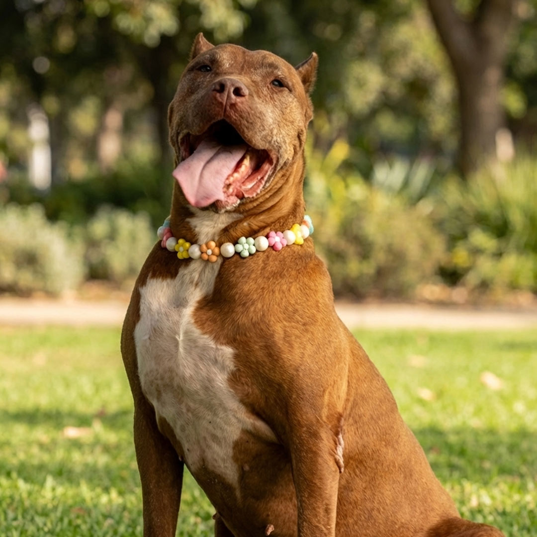 בסטיז בידז Flower Power