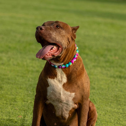 בסטיז בידז Tie Dye Love