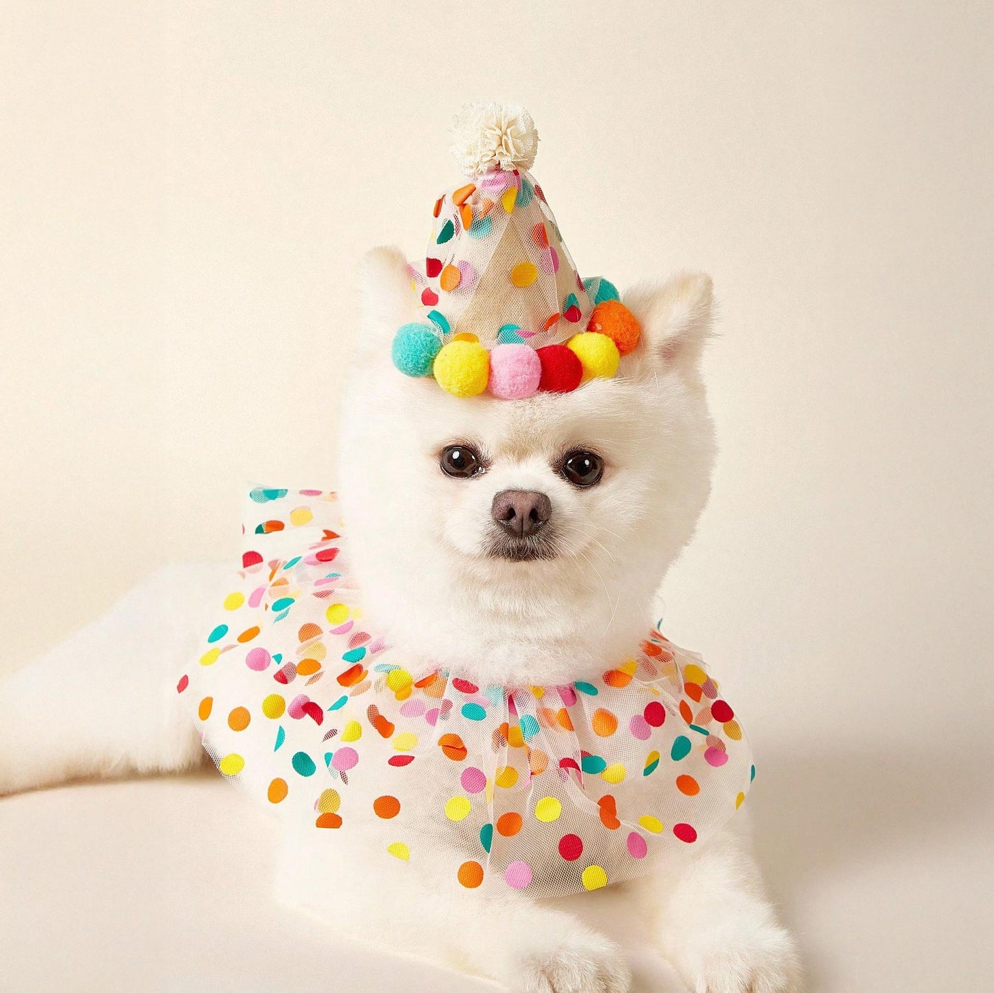 סט ליצן יומהולדת