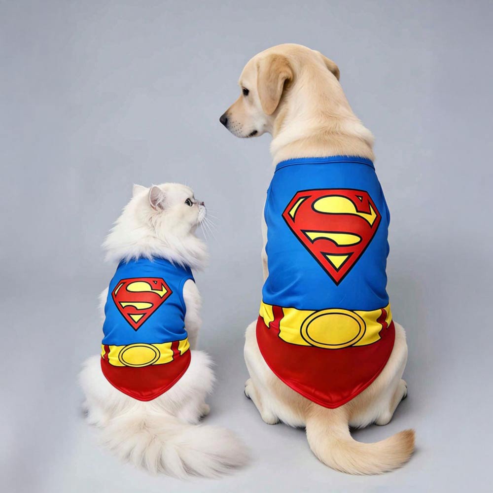 תחפושת סופרמן