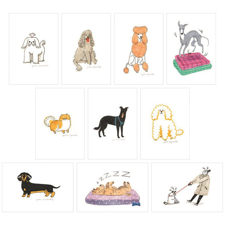 גלויות Dog Box