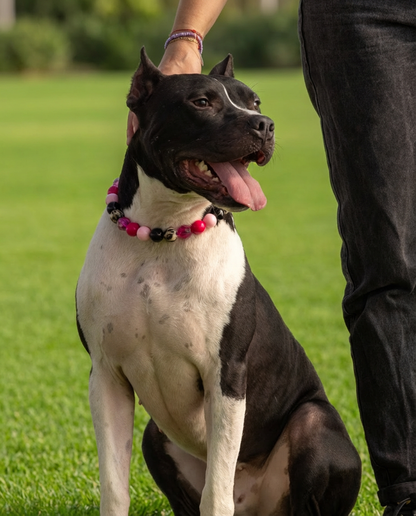 הסיפור של קארט