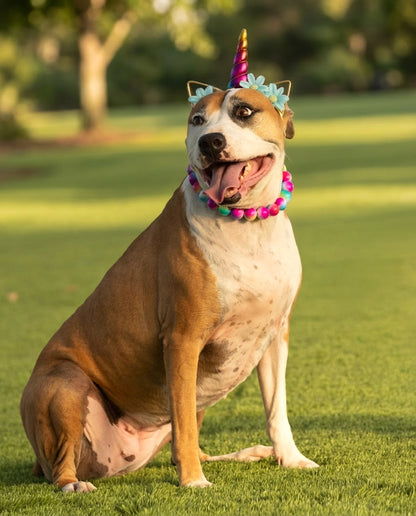 הסיפור של לונה