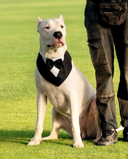 הסיפור של פאבלו