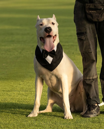 הסיפור של פאבלו