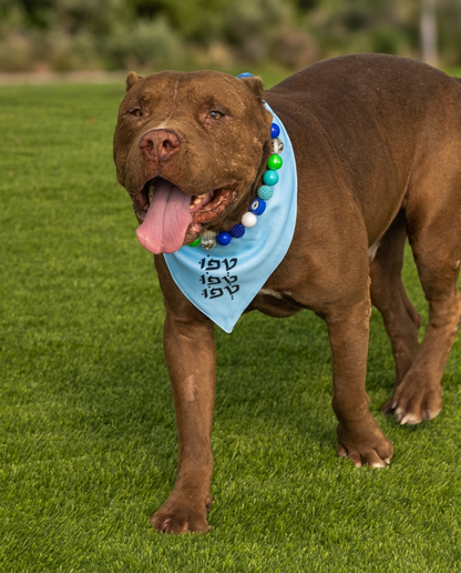 הסיפור של אוסקר