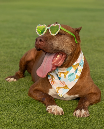 הסיפור של הרקולס