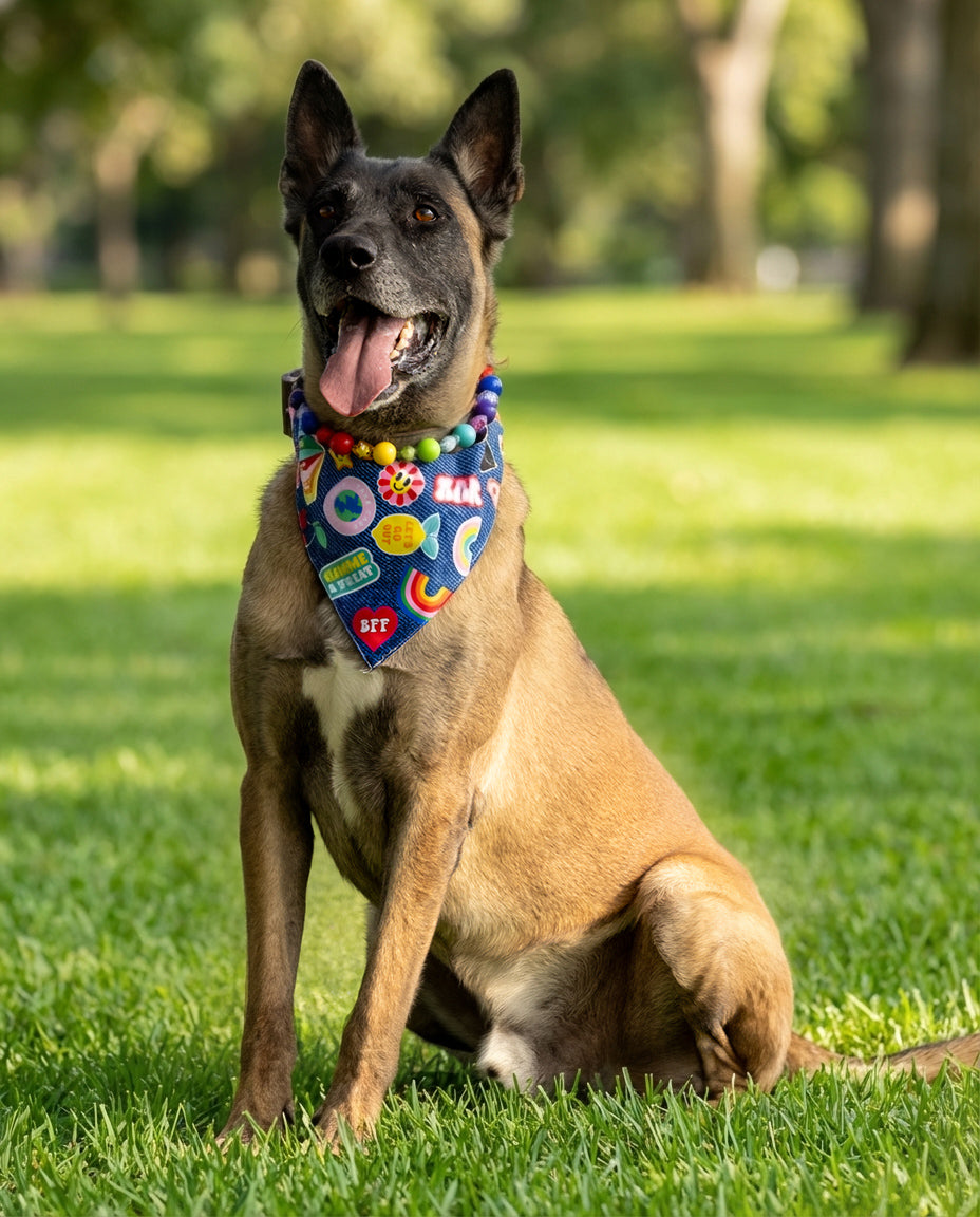 הסיפור של עומר